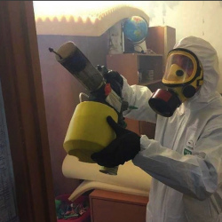 Уничтожение клопов в квартире. Козловка